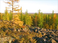 40 краски осени